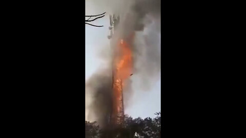 In India they are setting fires to 5G radiation towers.