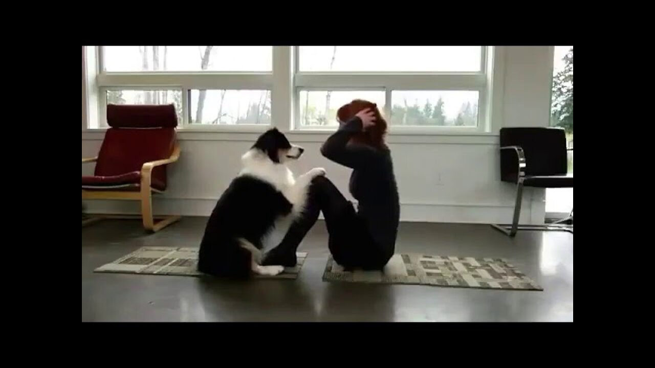 Dog Is Doing Yoga With His Owner | The Funny Yoga Dog