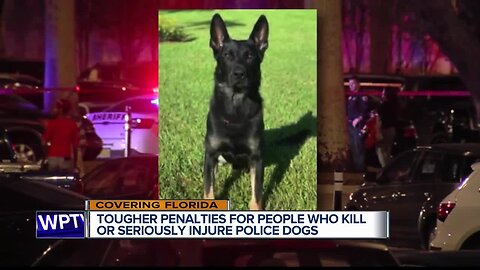 Killing police K-9s in Florida will earn longer prison term