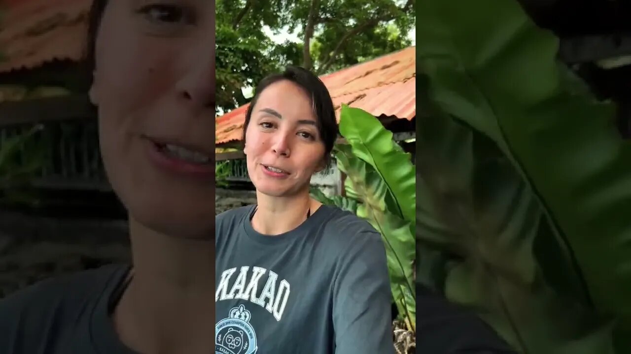 Mini vlog of a cute cafe I visited in Camiguin island. Full vlog up soon!