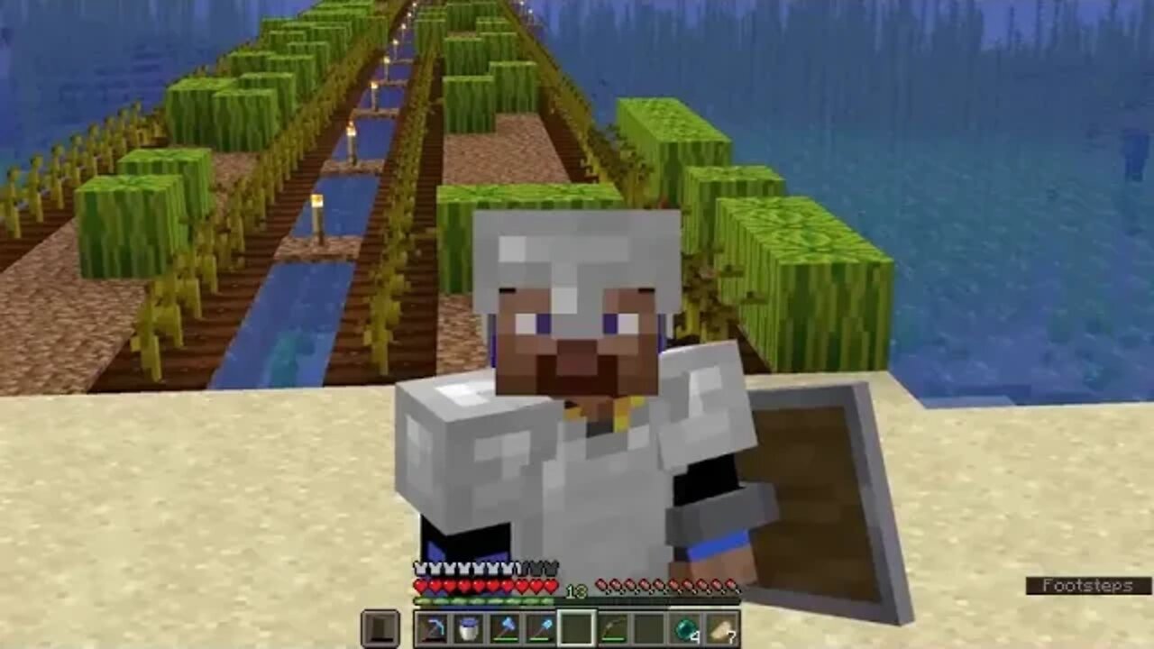 Can you farm 1,000,000 Melons in 100 Minecraft Days %% 10