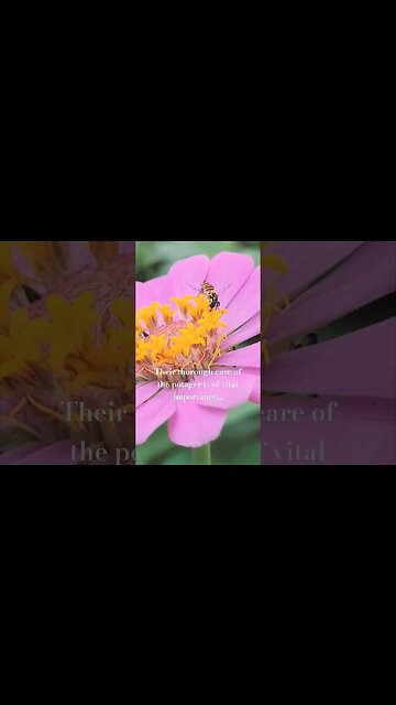 The Tiny workers of the Potager... #gardening #potagergarden #garden #organicgardening #insects