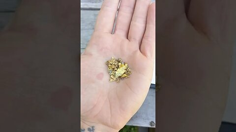 Melting Gold Nuggets!!
