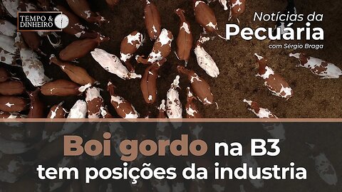 Boi gordo na B3 tem posições da industria no vendido e pressão no mercado físico.