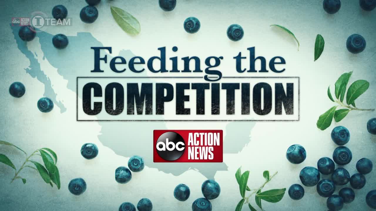 Feeding the Competition - ABC Action News Streaming Original