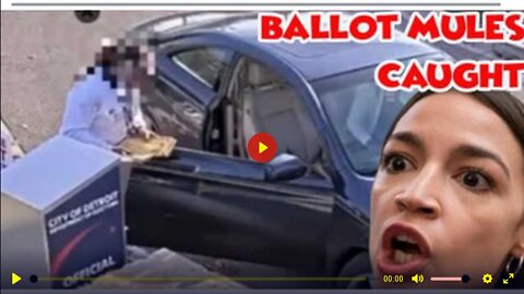 BALLOT MULES SING AS STASH HOUSES RAIDED BY YUMA COUNTY SHERIFFS