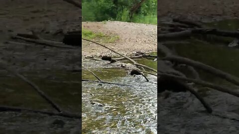 #songbitslaura river relaxation