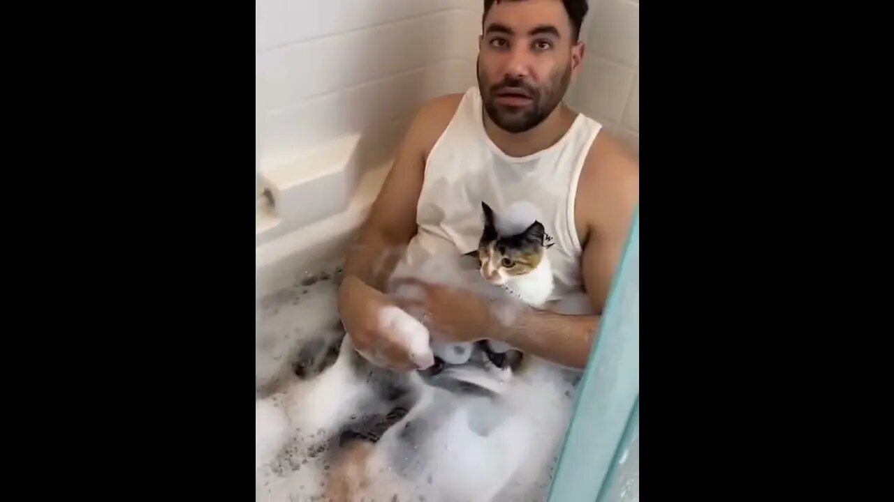 ванна с котиками