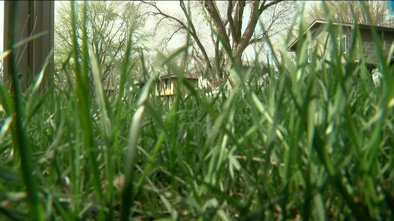 How do folks in Nebraska make lawn care eco-friendly?
