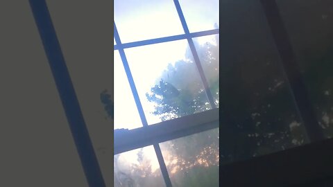 UFO Spotted in Chicago above Oblock ! #breakingnews