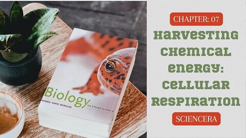 CHAPTER 07 - CELLULAR RESPIRATION (Glycolysis, Citric Acid Cycle, Phosphorylation)