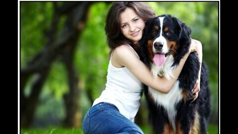 Best Friend - Cute and Funny Animals Videos Compilation