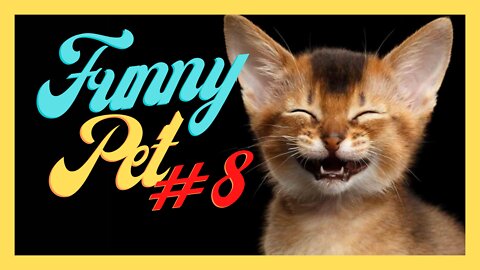 Funny Pet #8