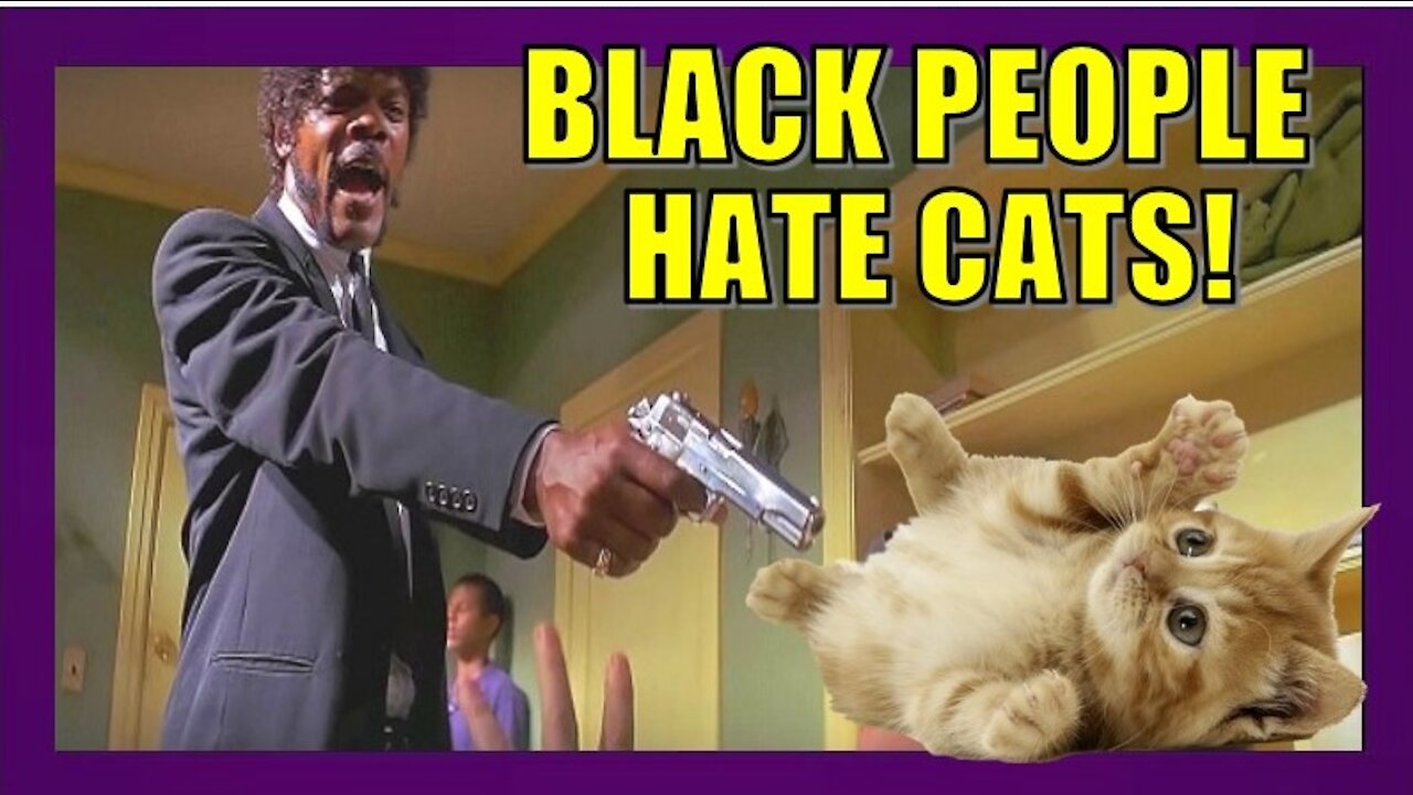 BLACK PEOPLE HATE CATS!