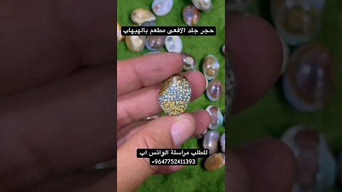 حجر جلد الافعى