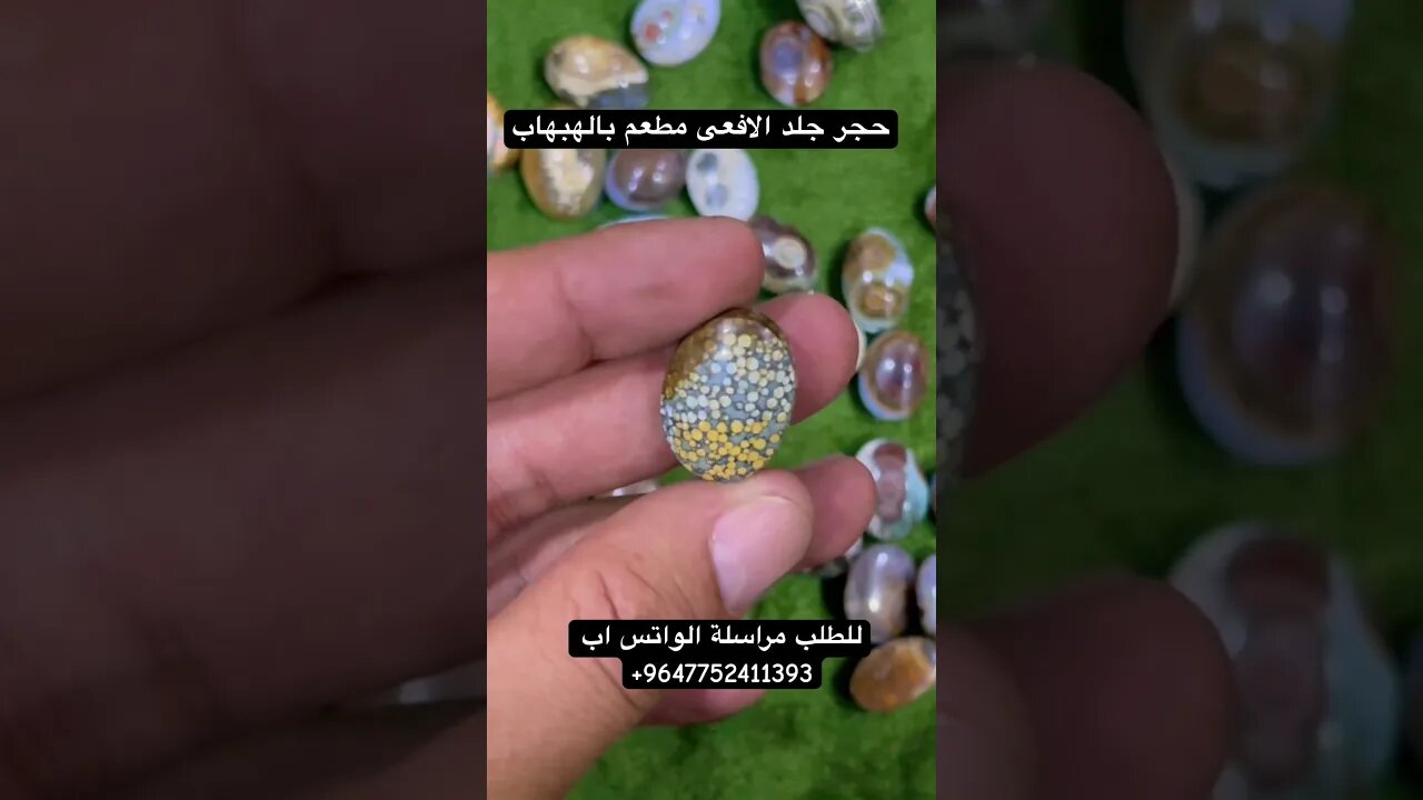 حجر جلد الافعى