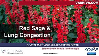 Dr.SHIVA™: Red Sage on Lung Congestion @CytoSolve® Systems Analysis (3/23)