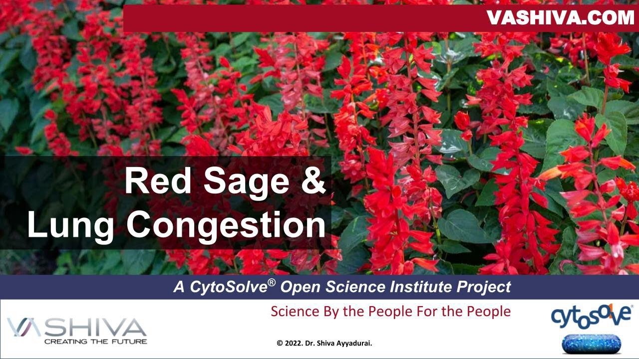 Dr.SHIVA™: Red Sage on Lung Congestion @CytoSolve® Systems Analysis (3/23)