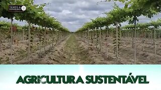 Agricultura Sustentável: Com Frederico Olivi