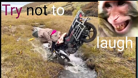 Try not to laugh funny moments 😜Best funny videos compilation