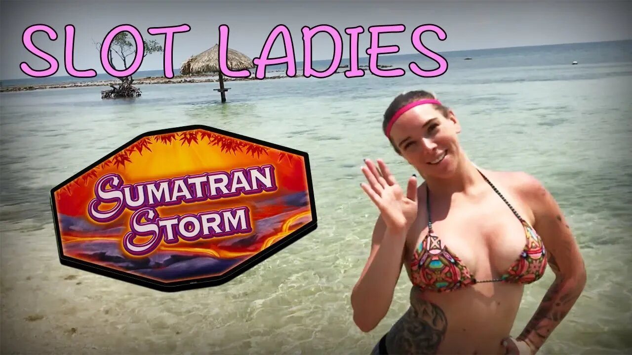 🐯Colleen Hits 10 FREE GAMES 🐯 SUMATRAN STORM BONUS ROUND! Slot Ladies