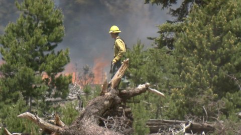 'That’s big savings, very cost effective.' Flood, fire preparations could save billions