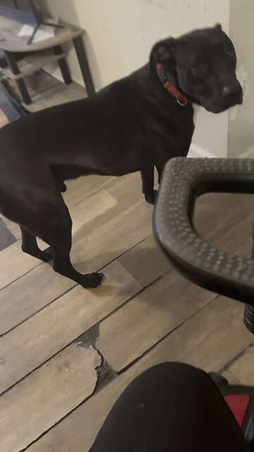 Prince getting ready to pray