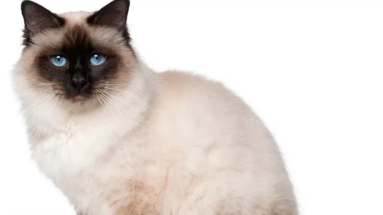 Jordan! Here, for you. #philcollins #fill-call-ins get it Jordan?