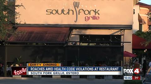 Roaches Amid Health Code Violations at Restaurant