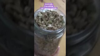 Stop eating #seeds straight from the packet! U must #activate them by #sprouting #shorts