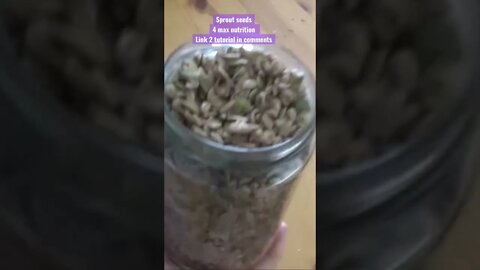 Stop eating #seeds straight from the packet! U must #activate them by #sprouting #shorts