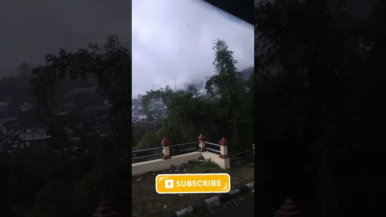 amazing video of the day❤️#youtubeshorts #shorts