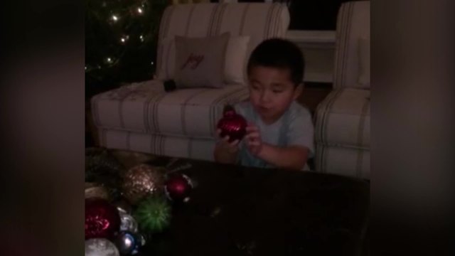 "Little Boy’s Christmas Tree Decorating Fail"