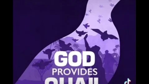 God Provides Quail~Numbers Holy Bible