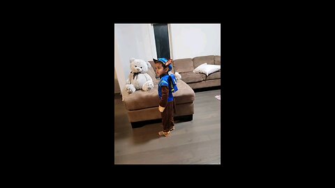 chase from paw patrol