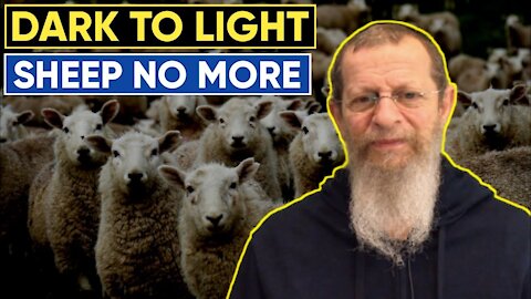 GOOD NEWS - SHEEP NO MORE.