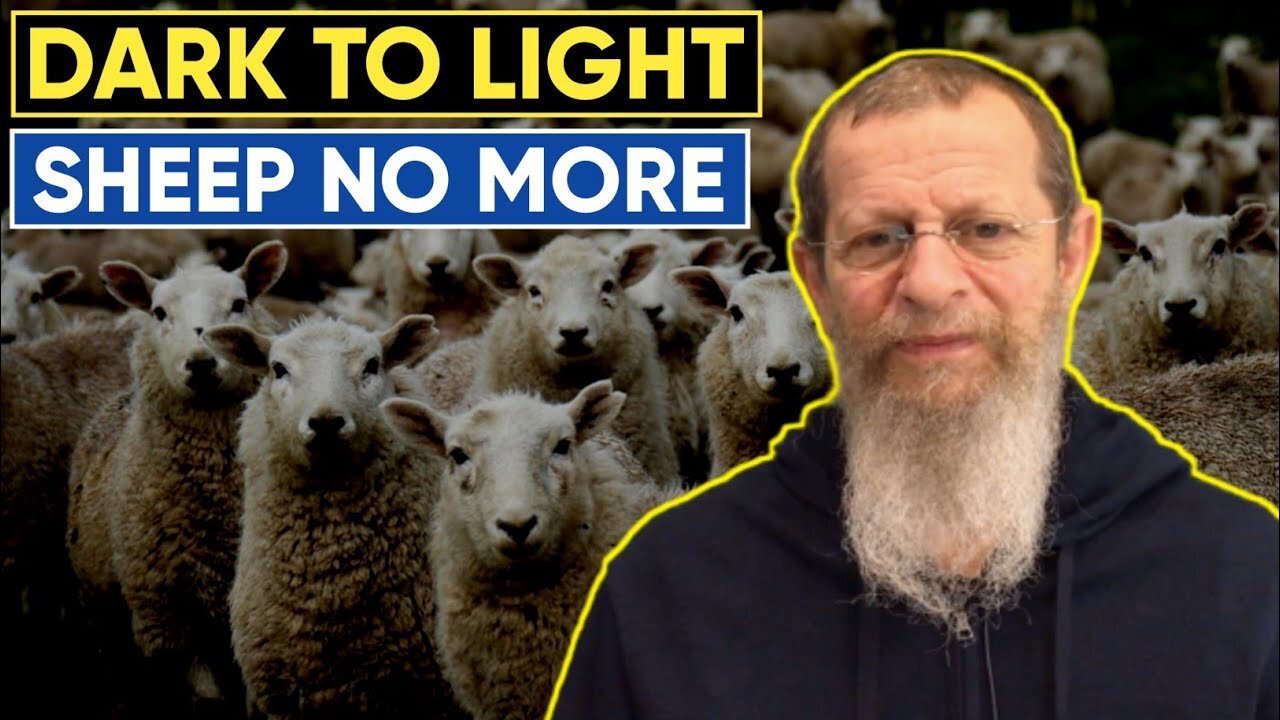 GOOD NEWS - SHEEP NO MORE.