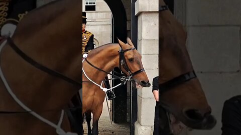 when arnies way the horse will play #horseguardsparade