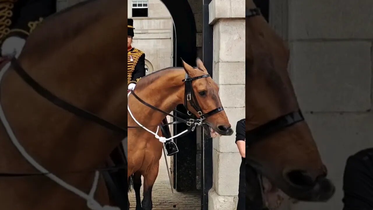 when arnies way the horse will play #horseguardsparade