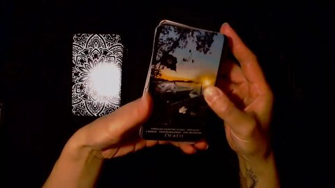 GLOSSY vs. PLANT CARDSTOCK. You Choose!