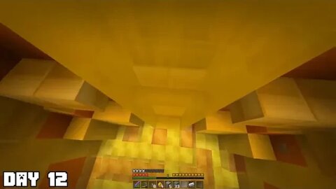 I Survived 100 Days as a BEE in Minecraft 17