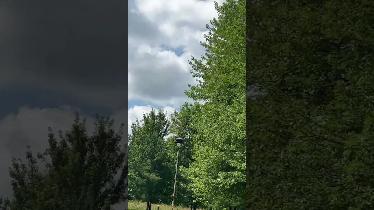 #savenaturesavelife