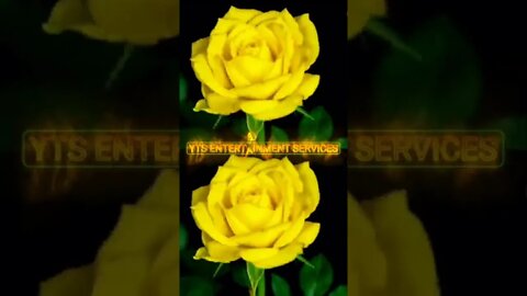 Secret of a rising flowers