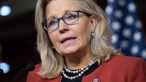Republican Liz Cheney DESTROYS Tucker Carlson On Fox News
