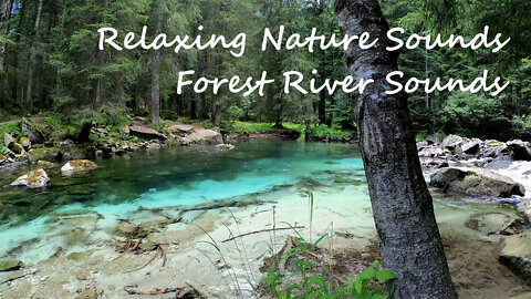 Relaxing Nature Sounds. Forest River Sounds.