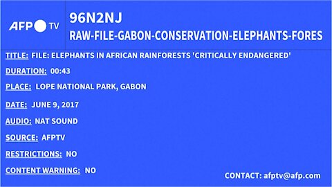 Elephant Population