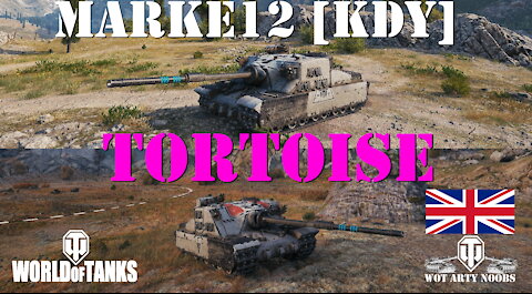 Tortoise - marke12 [KDY]