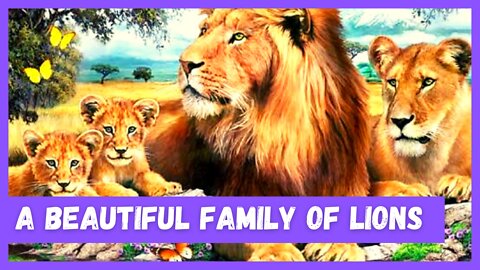 a beautiful family of lions