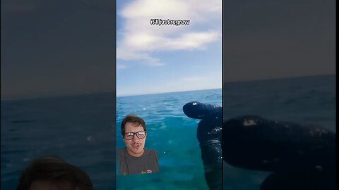 The sea cucumber is.... weird