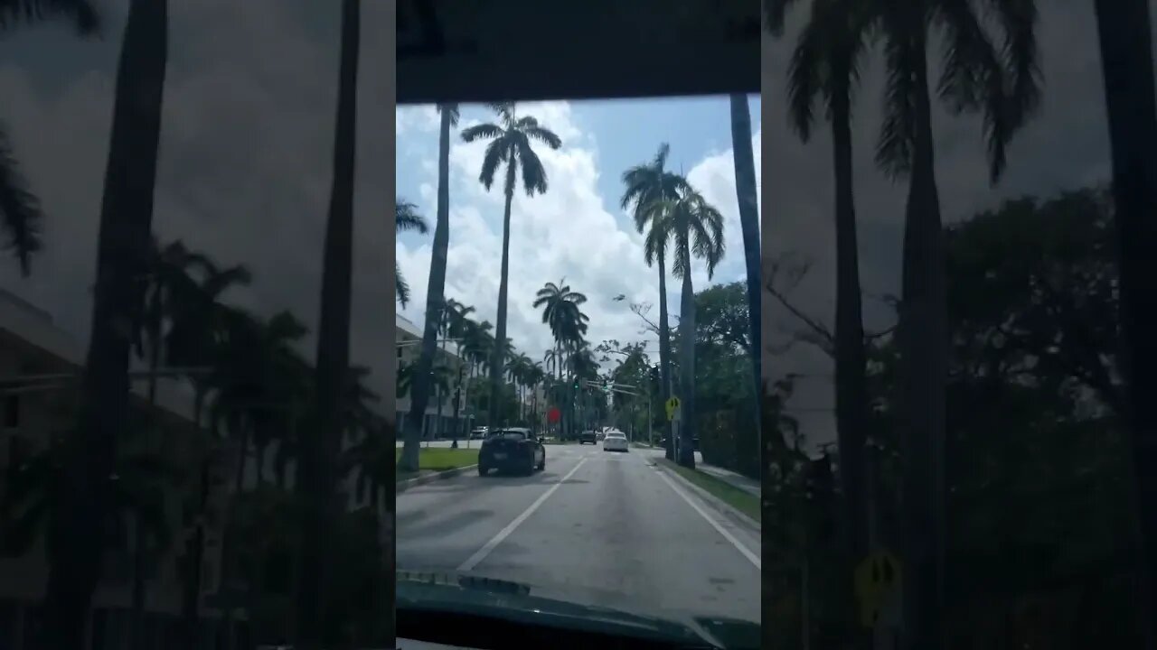 Driving in Miami